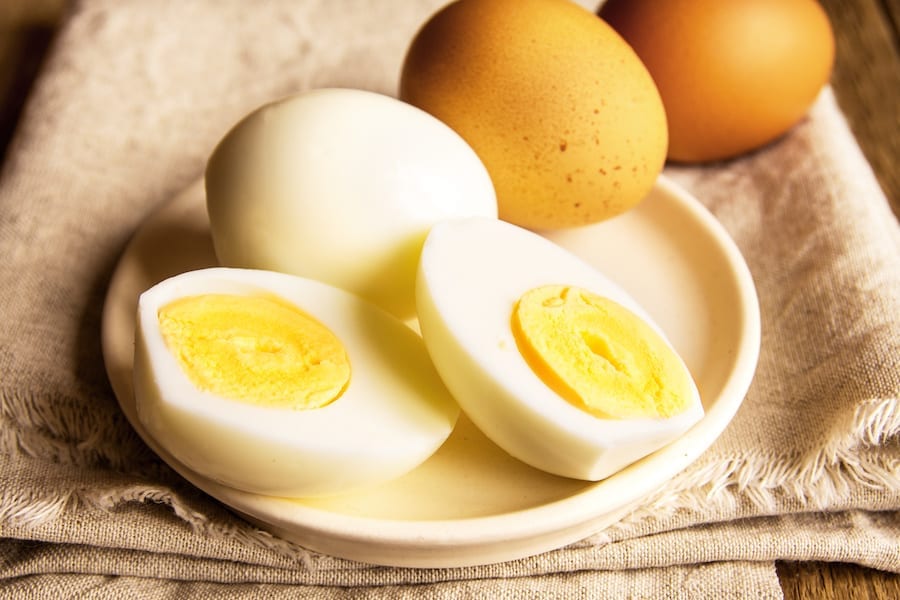 5 Great Ways to Keep Your Eggs Warm
