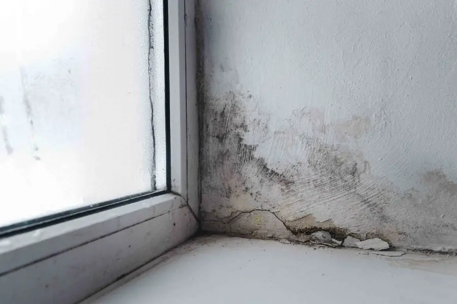 Molde en esquina por ventana