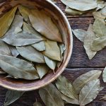 Are Bay Leaves Poisonous to Humans and Dogs?
