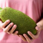 How to Tell If Jackfruit Is Ripe (And What to Do with if It’s Unripe)