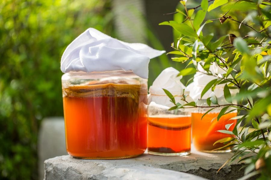 Does Kombucha Go Bad If It Gets Warm? (Why Temperature Matters)
