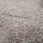 6 Simple Ways to Stop Your Carpet From Fraying