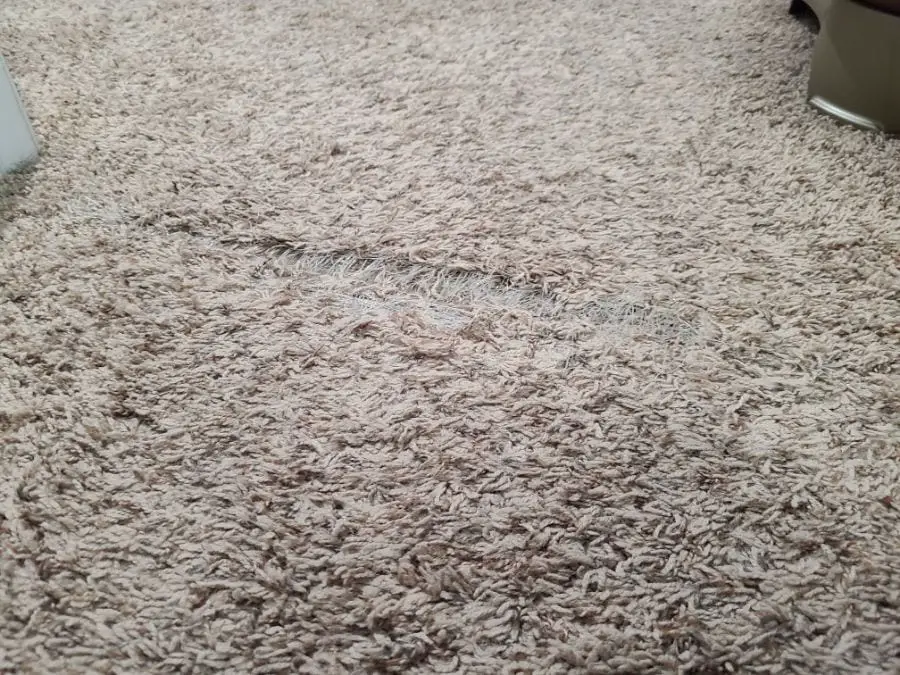 6 Simple Ways to Stop Your Carpet From Fraying