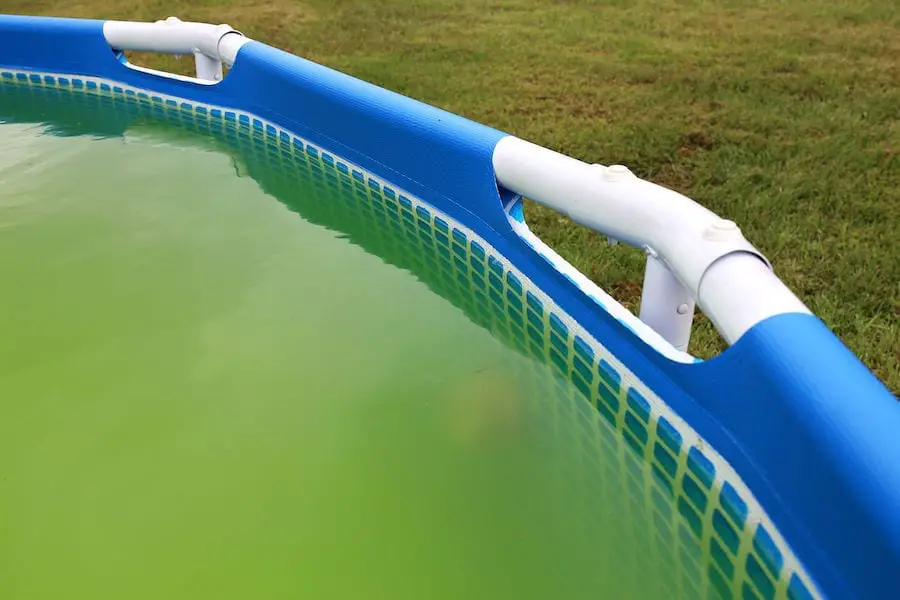 Agua súper verde con Algea en la piscina del patio trasero